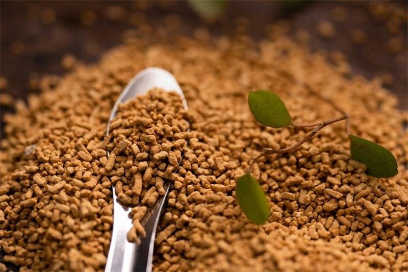 Chinese medicine granules