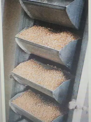 Stainless steel bucket elevator