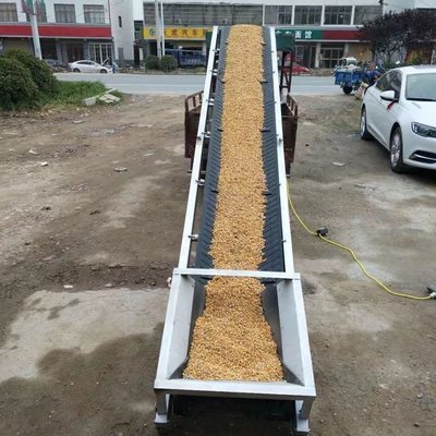Grain Belt Conveyor