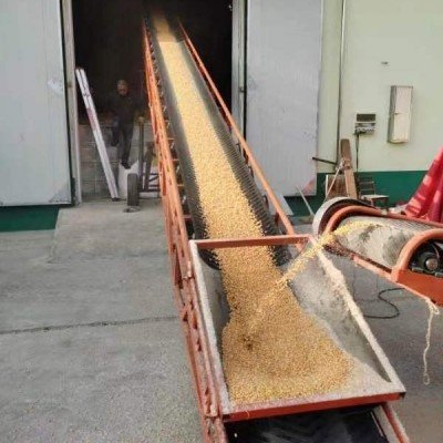 Grain Belt Conveyor