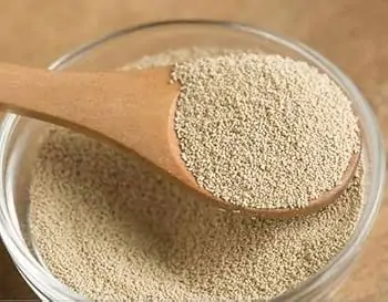 yeast