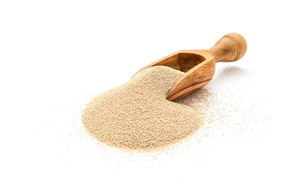 yeast