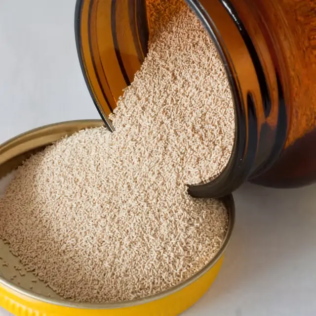 yeast