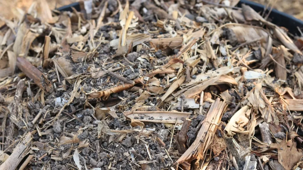 Wood Chip Sorter